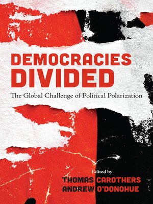 cover image of Democracies Divided
